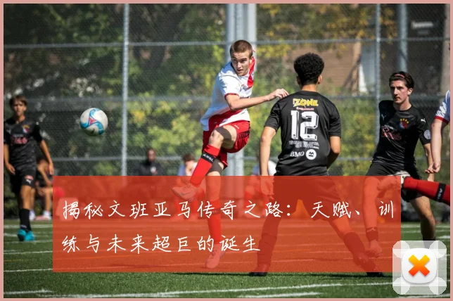 揭秘文班亚马传奇之路：天赋、训练与未来超巨的诞生