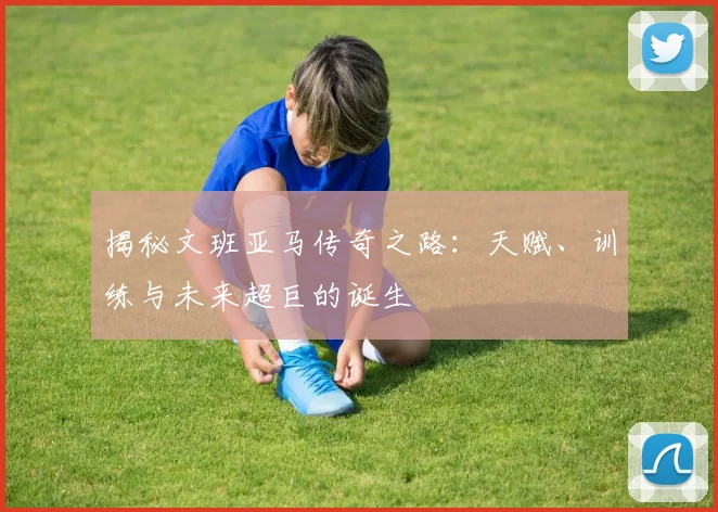 揭秘文班亚马传奇之路：天赋、训练与未来超巨的诞生