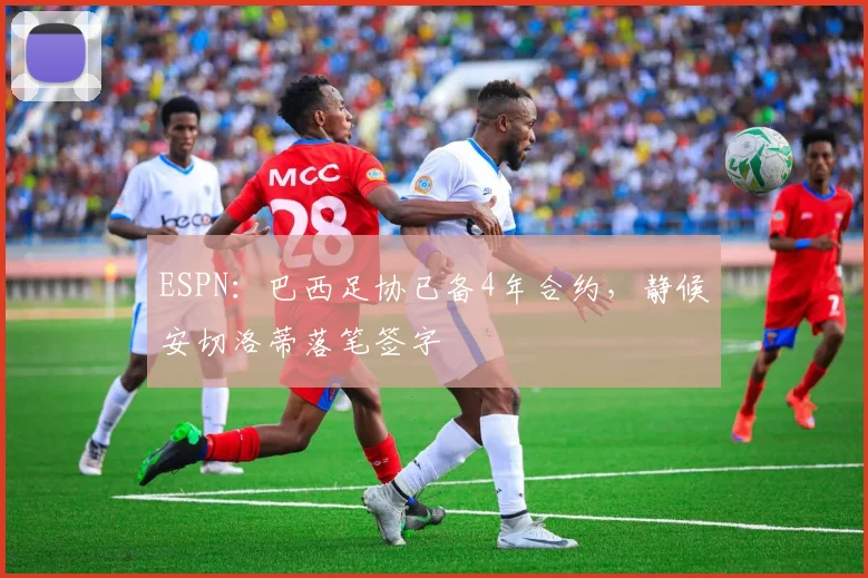ESPN：巴西足协已备4年合约，静候安切洛蒂落笔签字